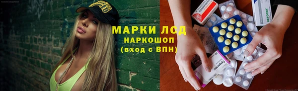 трава Лабытнанги