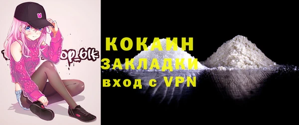 гашик Ладушкин