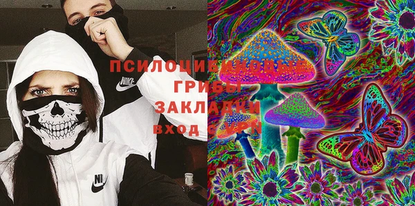 гашик Ладушкин