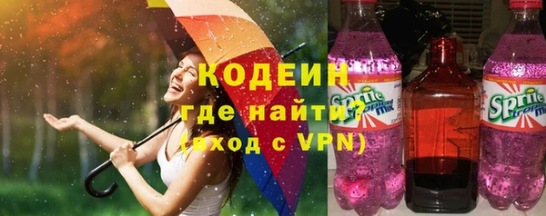 гашик Ладушкин