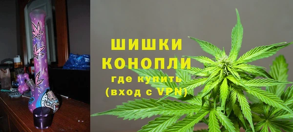 2c-b Лагань