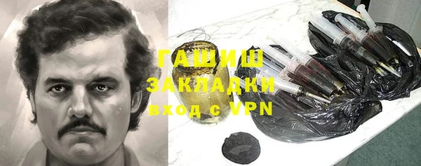 гашик Ладушкин