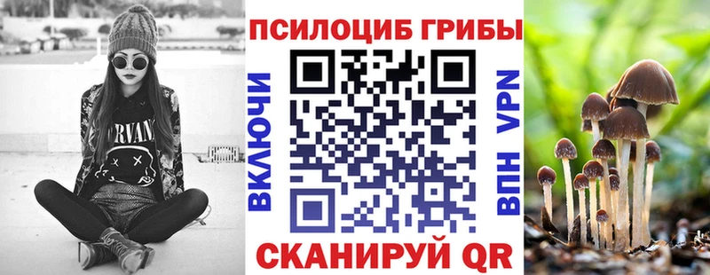 MEGA зеркало  Сенгилей  Псилоцибиновые грибы Psilocybine cubensis 